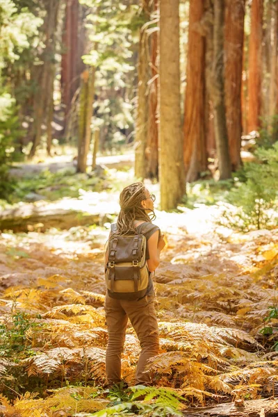 Hiker Sequoia Taman Nasional California Amerika Serikat — Stok Foto