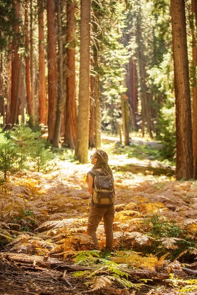 Hiker Sequoia Taman Nasional California Amerika Serikat — Stok Foto