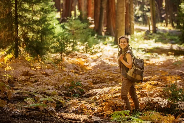 Hiker Sequoia Taman Nasional California Amerika Serikat — Stok Foto