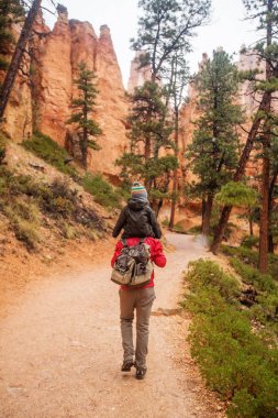Baba ile oğlu hiking Bryce canyon National Park, Utah, Amerika '
