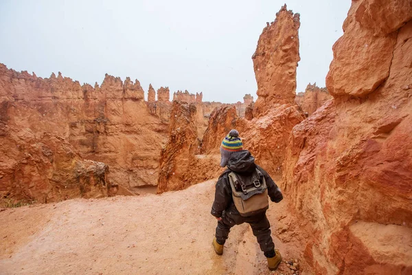 Pojke Vandring Bryce Canyon National Park Utah Usa — Stockfoto