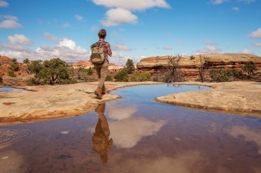 Uzun yürüyüşe çıkan kimse Canyonlands Milli Parkı'nda, Utah gökyüzünde iğneler,