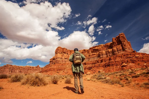 Uzun yürüyüşe çıkan kimse Valley of Gods, ABD — Stok fotoğraf