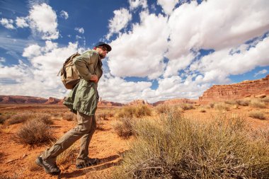 Uzun yürüyüşe çıkan kimse Valley of Gods, ABD