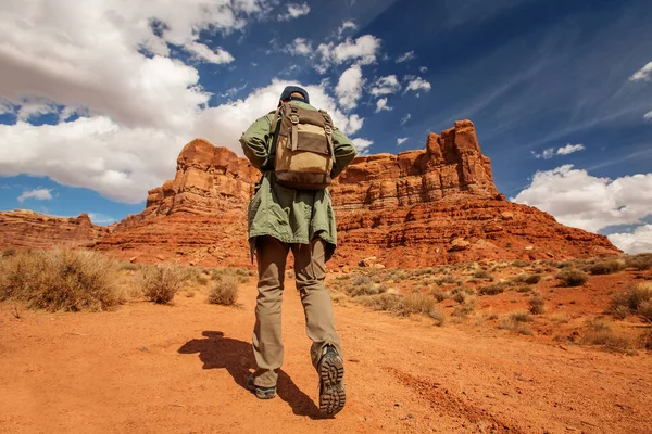 Senderista en Valley of Gods, Estados Unidos — Foto de Stock