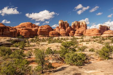 Muhteşem manzara Canyonlands Milli Parkı, ve iğneler 