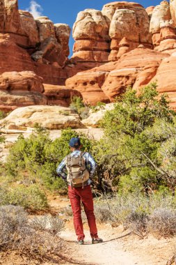 Uzun yürüyüşe çıkan kimse Canyonlands Milli Parkı'nda, Utah gökyüzünde iğneler,