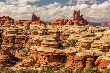 Spectacular landscapes of Canyonlands National park, needles in  clipart