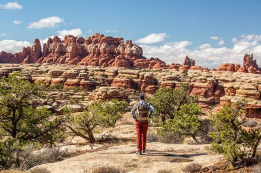 Uzun yürüyüşe çıkan kimse Canyonlands Milli Parkı'nda, Utah gökyüzünde iğneler,