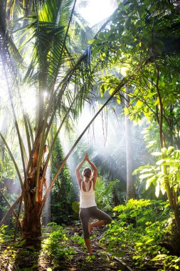 ormanda dışarıda yoga yapan kadın