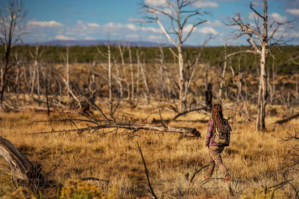 Mujer en bosque de árboles muertos — Foto de Stock