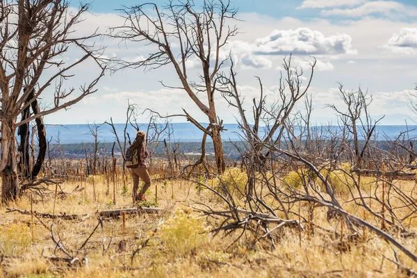 Mujer en bosque de árboles muertos — Foto de Stock