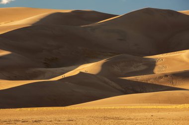 Güzel kumulları çölde