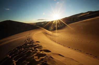 Güzel kumulları çölde