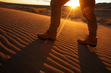 Bir turist çölde seyahat