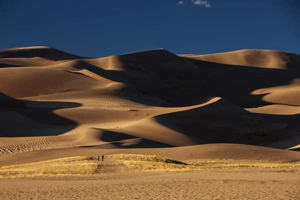 Hermosas dunas en el desierto — Foto de Stock