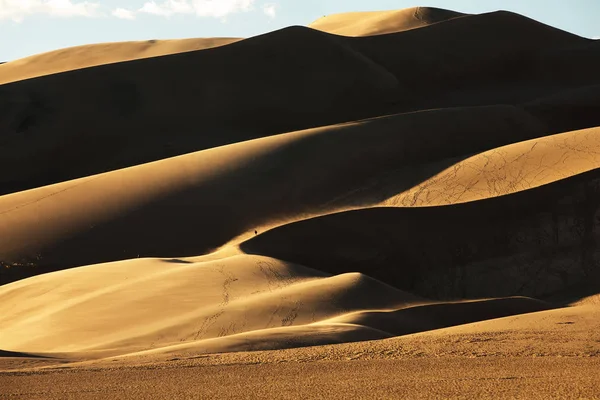 Hermosas dunas en el desierto — Foto de Stock
