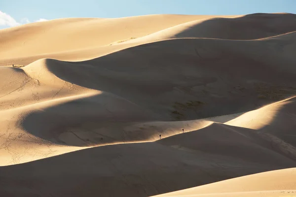 Hermosas dunas en el desierto — Foto de Stock