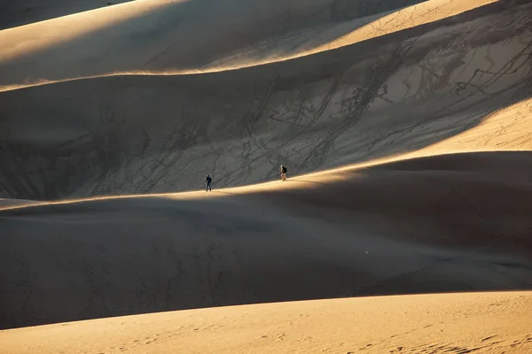 Hermosas dunas en el desierto — Foto de Stock