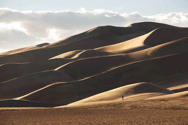 Hermosas dunas en el desierto — Foto de Stock