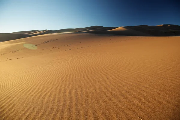 Hermosas dunas en el desierto — Foto de Stock