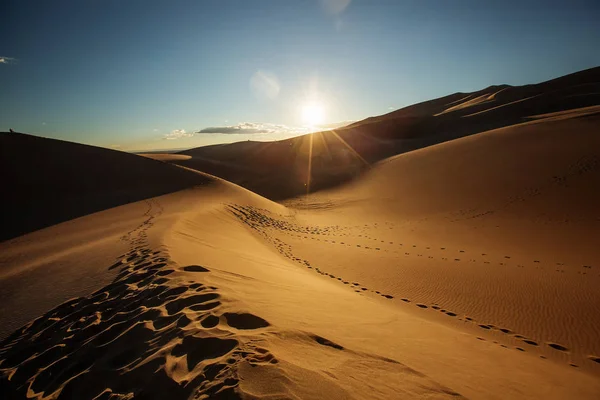 Hermosas dunas en el desierto — Foto de Stock