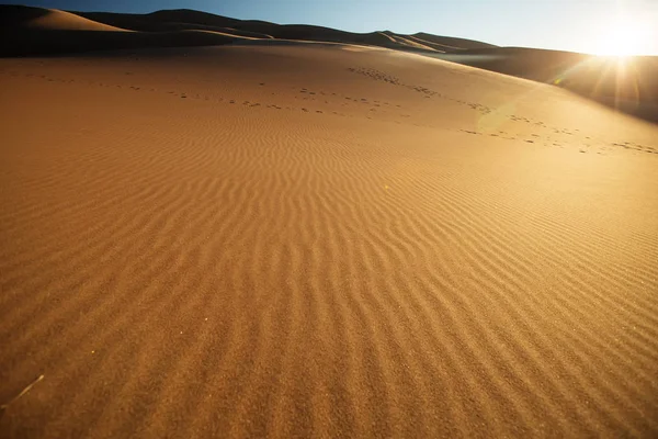 Hermosas dunas en el desierto — Foto de Stock