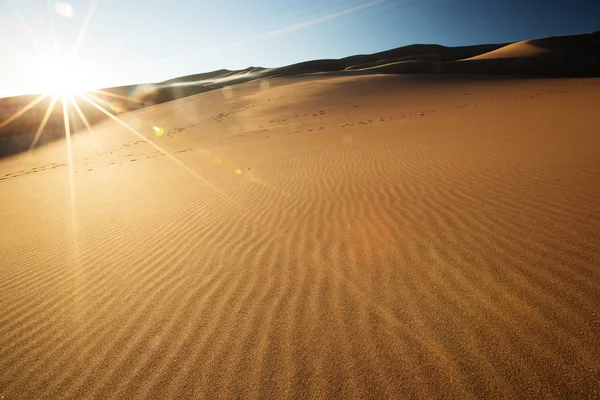 Hermosas dunas en el desierto — Foto de Stock