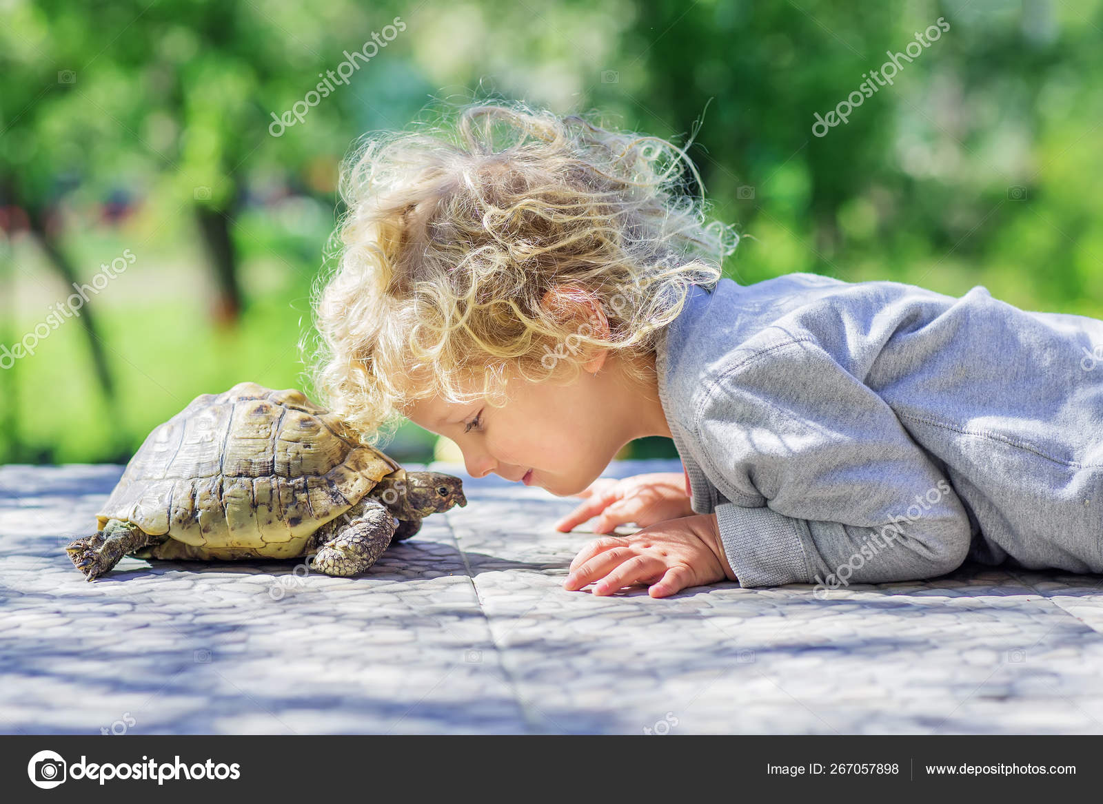 Мальчик кормит черепаху. Мальчик на черепахе. Девушка верхом на черепахе. Мальчик на черепахе. Мальчик на черепахе.