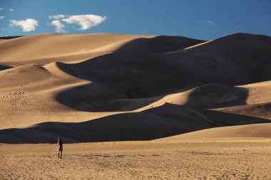 Bir turist çölde seyahat