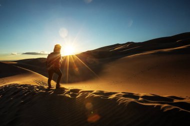Bir turist çölde seyahat