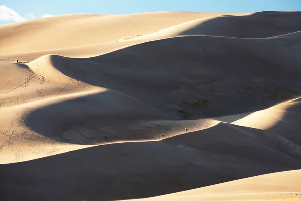 Hermosas dunas en el desierto — Foto de Stock