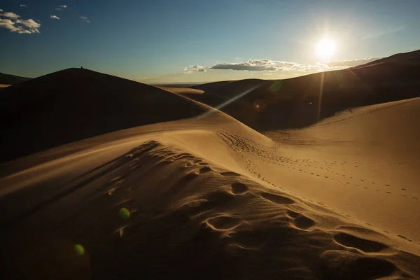 Hermosas dunas en el desierto — Foto de Stock