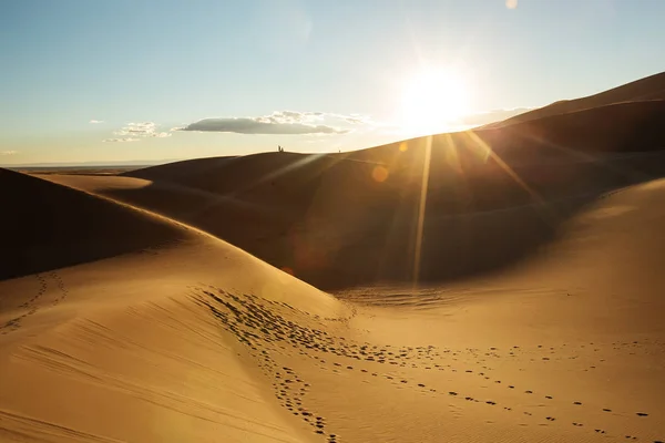 Lindas dunas de areia no deserto — Fotografia de Stock