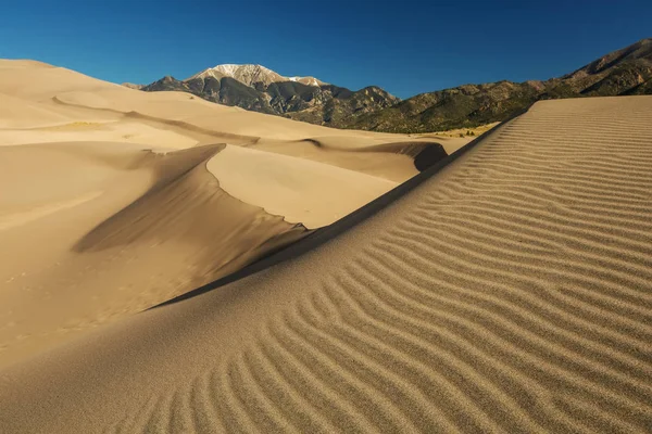 Hermosas dunas en el desierto — Foto de Stock