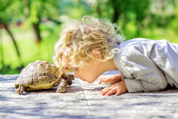 Lovely boy with turtle — Stock Photo, Image