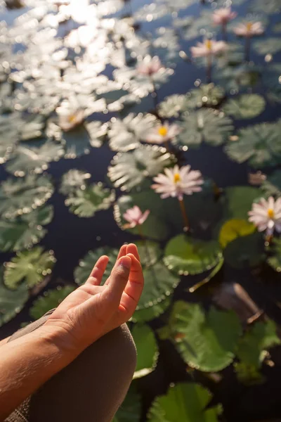 Kvinna praxis yoga på en sjö med Lotus näckrosor — Stockfoto