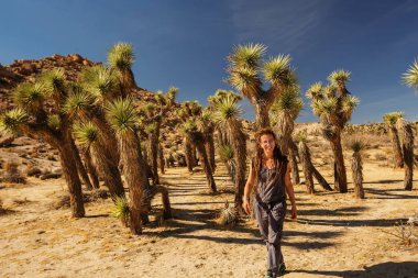 Joshua Tree Milli Parkı'nda yürüyüşçü