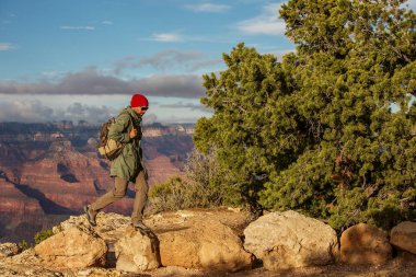 Bir uzun yürüyüşe çıkan kimse Büyük Kanyon Milli Parkı, Güney Rim, Arizona, U '