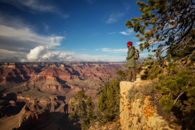 Bir uzun yürüyüşe çıkan kimse Büyük Kanyon Milli Parkı, Güney Rim, Arizona, U '