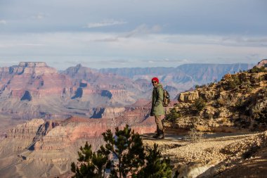 Bir uzun yürüyüşe çıkan kimse Büyük Kanyon Milli Parkı, Güney Rim, Arizona, U '