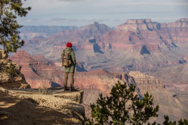 Bir uzun yürüyüşe çıkan kimse Büyük Kanyon Milli Parkı, Güney Rim, Arizona, U '