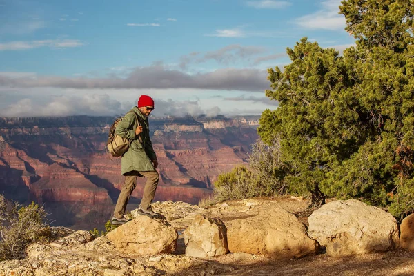 Bir uzun yürüyüşe çıkan kimse Büyük Kanyon Milli Parkı, Güney Rim, Arizona, U '