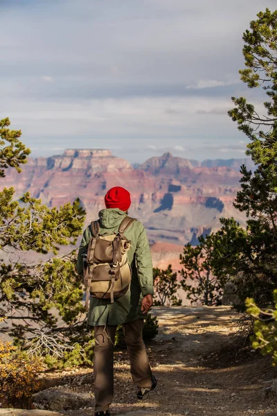 Bir uzun yürüyüşe çıkan kimse Büyük Kanyon Milli Parkı, Güney Rim, Arizona, U '