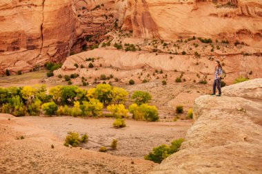 Kanyon de Chelly Ulusal Anıtı'nda bir yürüyüşçü