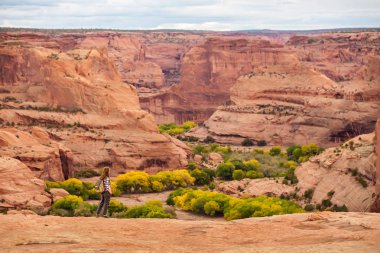 Kanyon de Chelly Ulusal Anıtı'nda bir yürüyüşçü