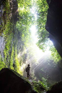 Bali, Endonezya'da ormanda bir kadın 