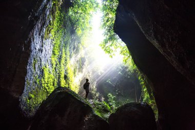 Bali, Endonezya'da ormanda bir kadın 