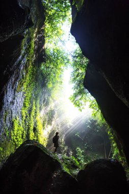 Bali, Endonezya'da ormanda bir kadın 