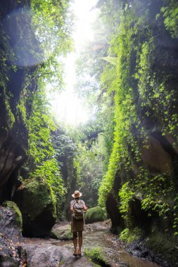 Bali, Endonezya'da ormanda bir kadın 